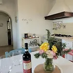Il Di Leonardo A