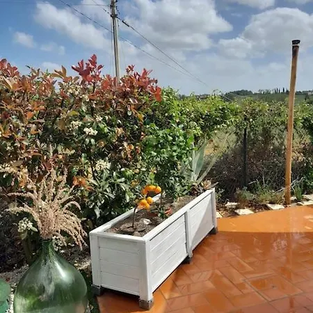 Il Di Leonardo A Holiday home
