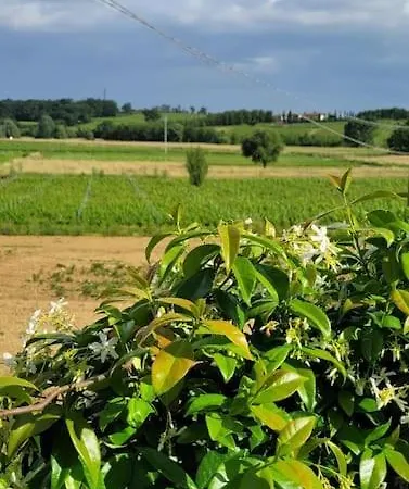 Holiday home Il Di Leonardo A Vinci